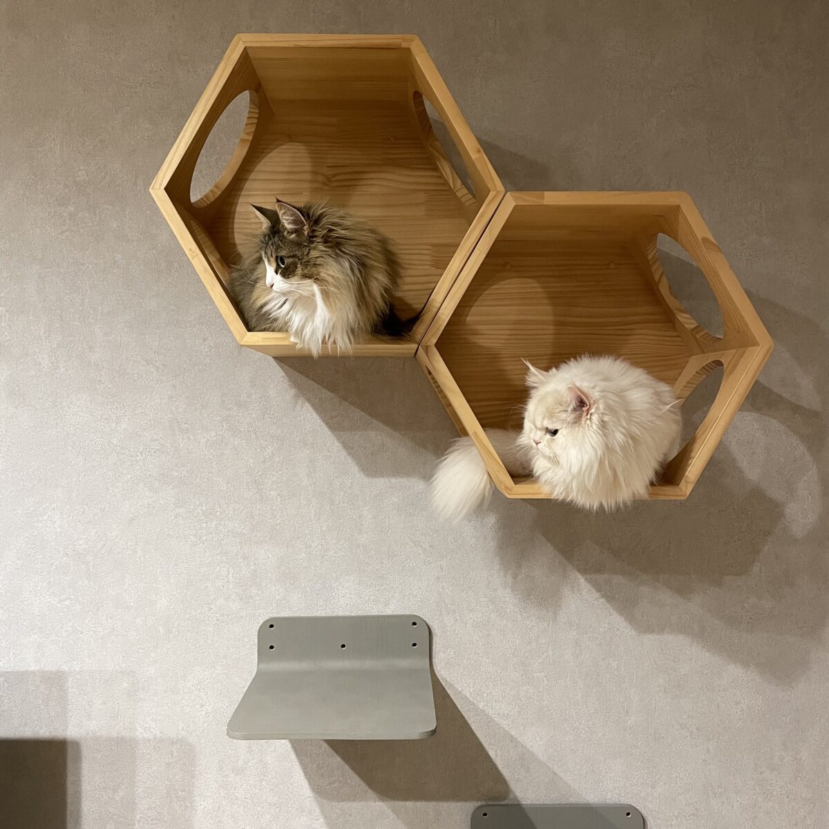 ずり落ちている猫のワイヤーアート◎クスッと癒しのインテリア空間に